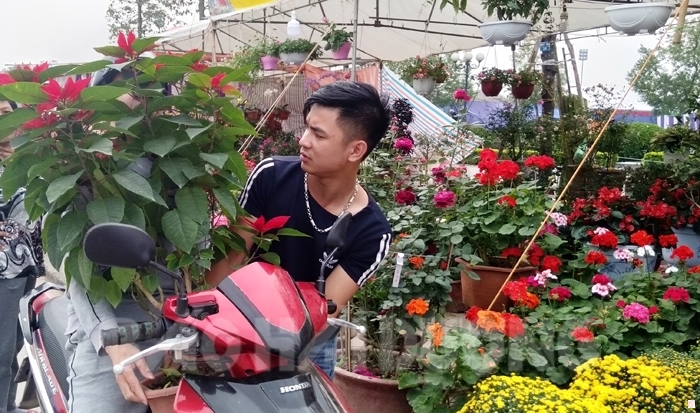 Chợ hoa Chí Linh xuân Kỷ Hợi thu hút gần 200 nhà vườn tham gia