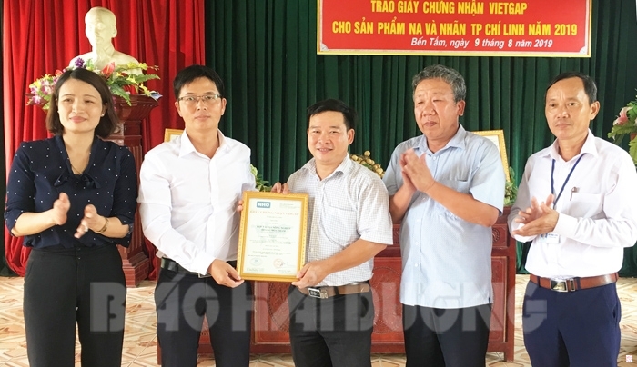 Trao giấy chứng nhận VietGAP cho đại diện vùng sản xuất na, nhãn Chí Linh