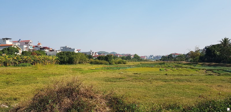 Khu đất triển khai Dự án xây dựng khu dân cư mới khu phố Hưng Đạo, phường Sao Đỏ, TP Chí Linh.