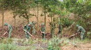 Trung đoàn 125 (Bộ Chỉ huy quân sự tỉnh) thường xuyên kiểm tra, phát tỉa cây rừng tại khu vực giáp ranh đơn vị