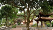 Quang cảnh ở chùa Thanh Mai
