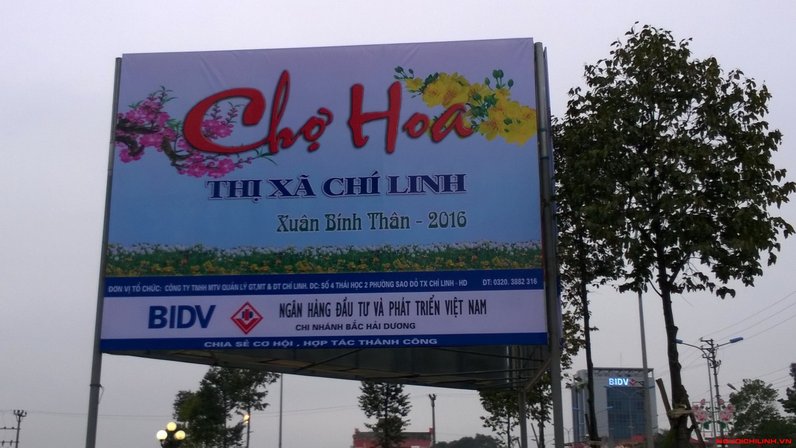 Rực rỡ chợ hoa Xuân Chí Linh 2016