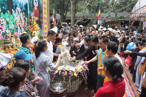 Đại lễ Phật đản 2016 - Phật lịch 2560 chùa Côn Sơn