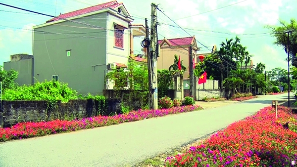 Con đường nông thôn mới tại thị xã Chí Linh.