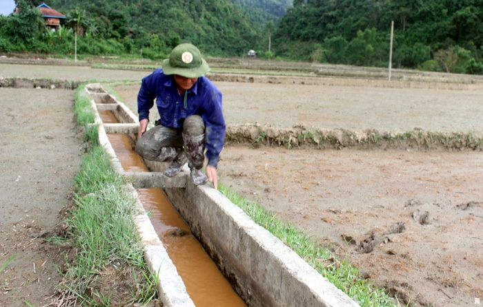 Chí Linh đảm bảo nguồn nước phục vụ sản xuất vụ chiêm xuân
